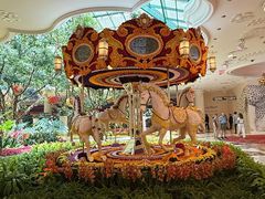 -拉斯维加斯永利酒店