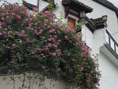 -西溪南古村落