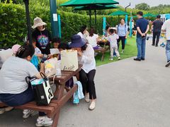 -季高兔窝窝亲子园(上海薰衣草公园店)