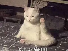 -大玩家(拱墅万达店)