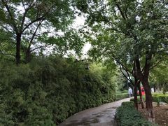 -西安汉城湖景区