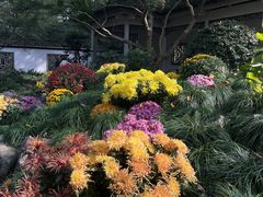 -杭州植物园