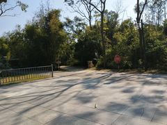 -开平碉楼文化旅游区马降龙景区