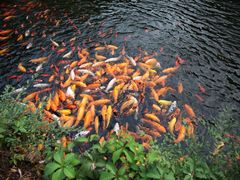 照片&nbsp;080-沈阳植物园