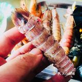 ️ 鸟贝 没看着 这次焯水时间长了