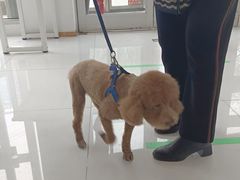 -北京恒爱动物医院(清景园分院)