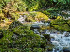 -瓦屋山景区