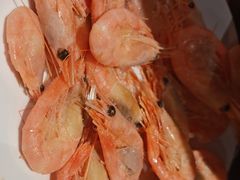 -汉巴味德(沈阳万象汇店)