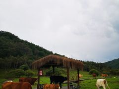 -大水川景区