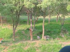 -杭州野生动物世界