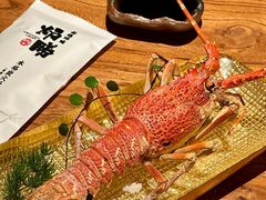 -炉胜·炉端烧·居酒屋