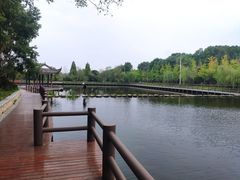 -黄陂区野村谷景区