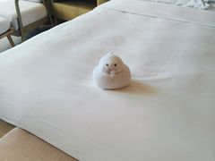 -三亚亚龙湾万豪度假酒店
