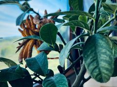 -云座·时光·观景咖啡厅(五爷庙店)