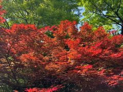 -苏州河梦清园环保主题公园