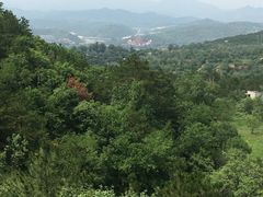 -磬锤峰森林公园