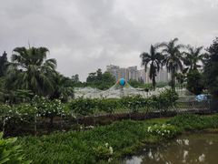 -南沙蒲洲花园