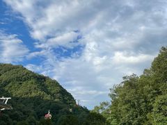 -栾川竹海野生动物园