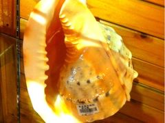 -亚龙湾中心广场·贝壳馆