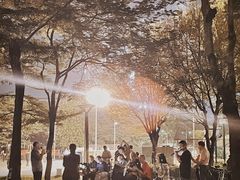 -深圳市宝安体育中心体育场