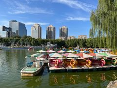 -团结湖公园