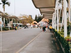 -深圳野生动物园