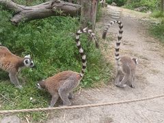 -宁波野生动物园