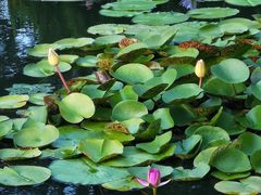 -国家植物园南园