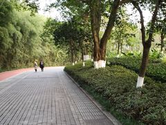 -龙头寺公园