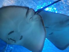 -太平洋海底世界