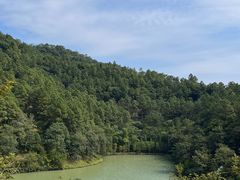 -广州白江湖森林公园