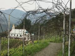 -美心红酒小镇游乐园