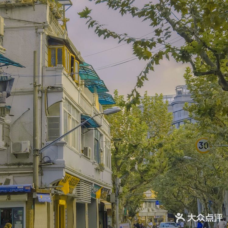 你为什么喜欢上海
