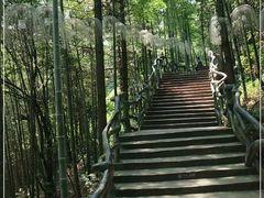 -石燕湖生态旅游景区