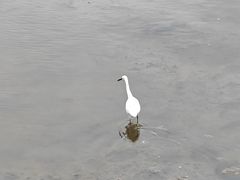 -龙舟池