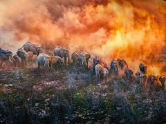 -罗红摄影艺术馆