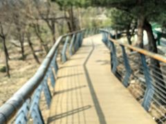 -白水寺森林公园