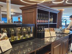 -维也纳国际机场