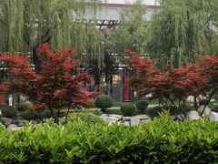 -唐城墙遗址公园