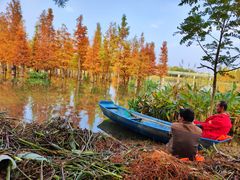 -白鹭湾湿地公园