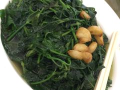 野生老鼠菜-四季大酒楼(白濠店)