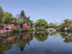 -无锡蠡湖国家湿地公园-蠡园