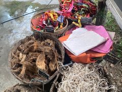 -大象粑粑造纸公园