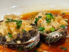 -高老庄新家宴(北斗星广场店)