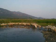 android_upload_pic-十三陵水库