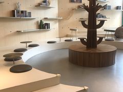 -飞行喵MR PILOT|猫舍·猫咖(静安大融城店)