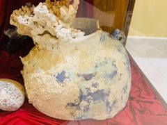 -北马里亚纳群岛博物馆