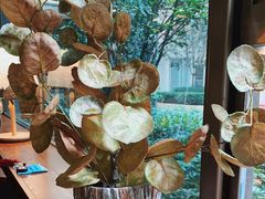 -咖法森林·咖啡  酒吧(天河店)