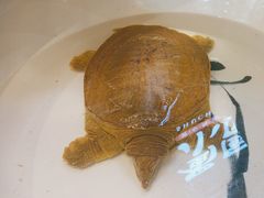 -蜀厨小匠·民间川菜(犀浦店)