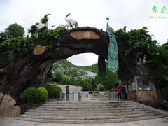 -石老人观光园